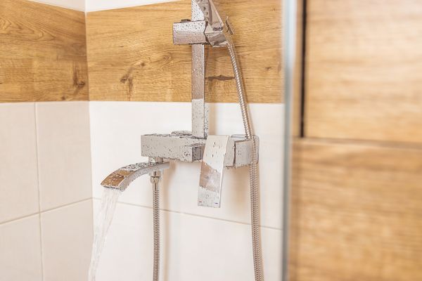 Shower Plumbing Installation in Lynnwood